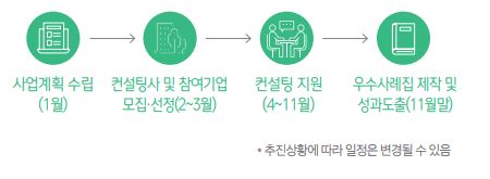 사업계획수립(1월) - 컨설팅사 및 참여기업 모집, 선정(2~3월) - 컨설팅 지원(4~11월) - 우수사례집 제작 및 성과도출(11월 말)